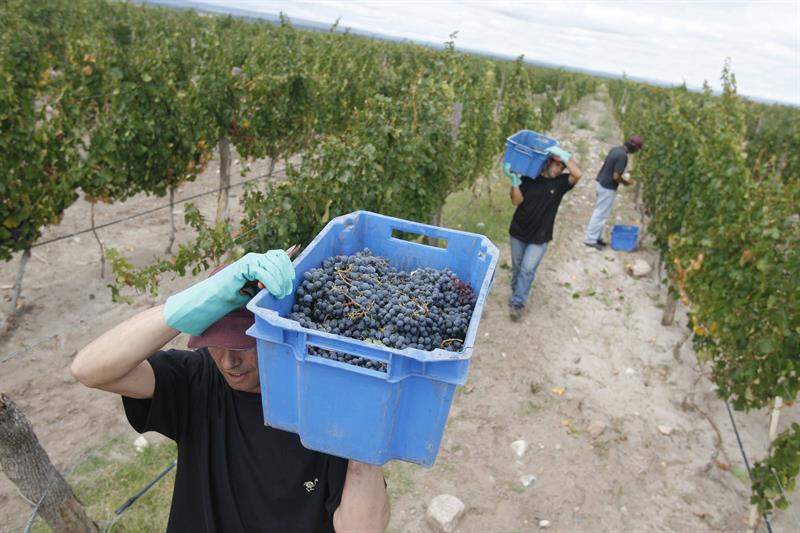  The Argentine Government desists from increasing the tax on wines and sparkling wines
